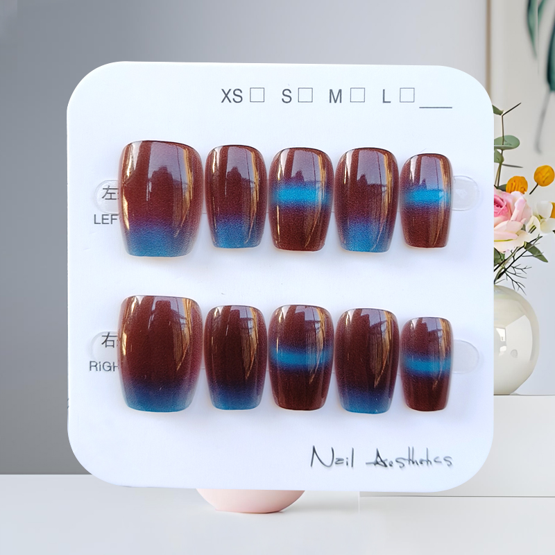 10 قطعة الخريف الشتاء نمط جديد - مراجعة Nail Art Press On وسعره